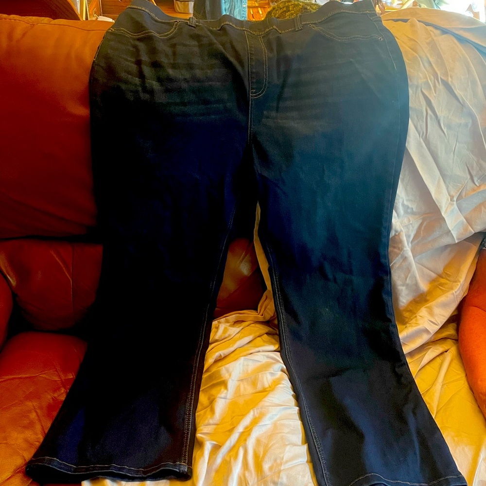 Dark Blue Denim Terra & Sky Jeans 2X